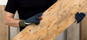 ¿Como eliminar la carcoma de la madera